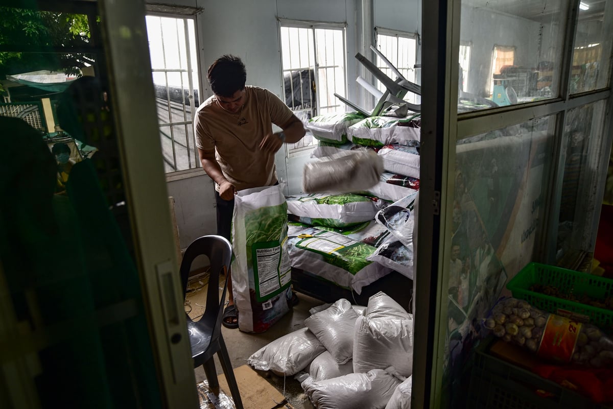 P20 rice program rolls on