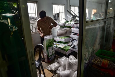 P20 rice program rolls on