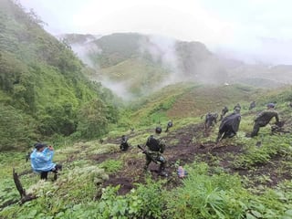 P9.6 million worth of weeds destroyed in Kalinga