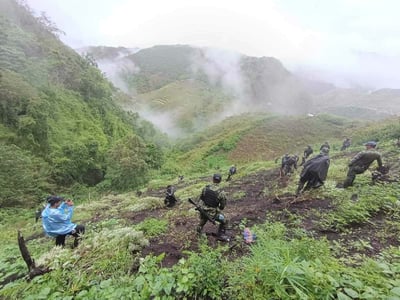 P9.6 million worth of weeds destroyed in Kalinga