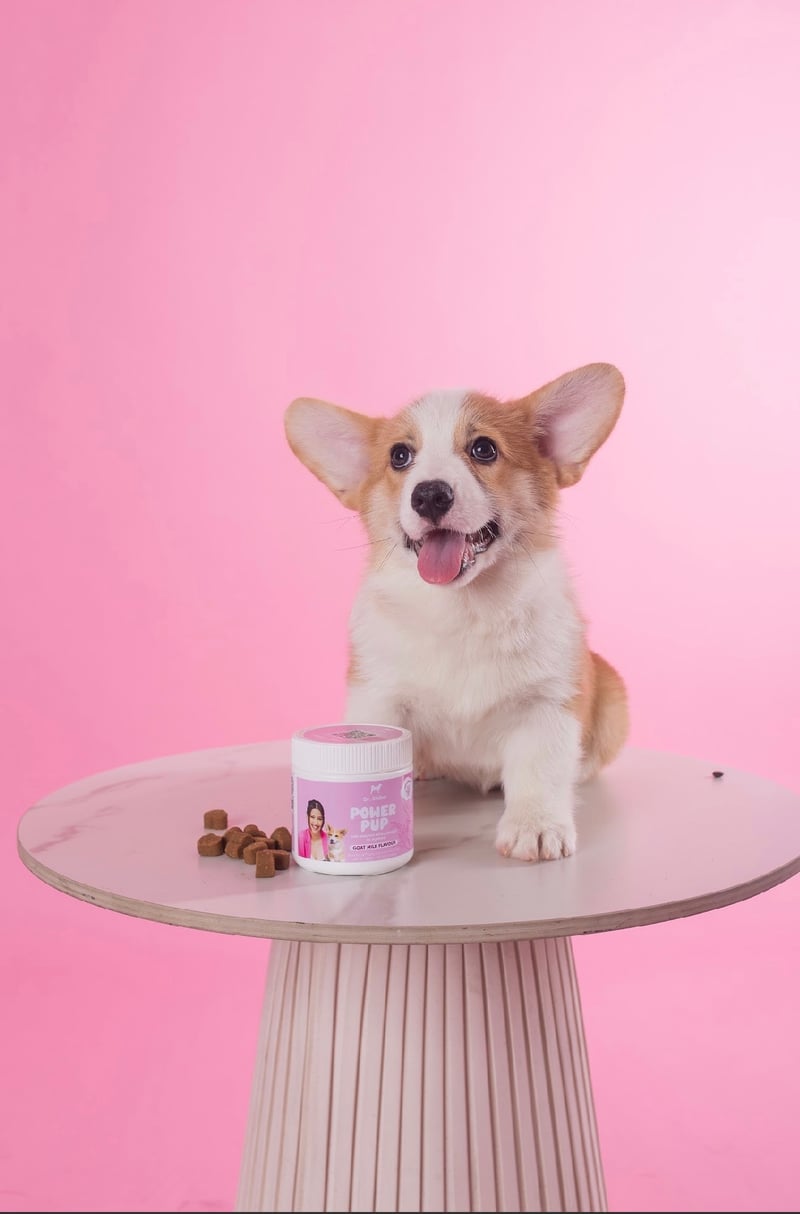 Pups have all the charm