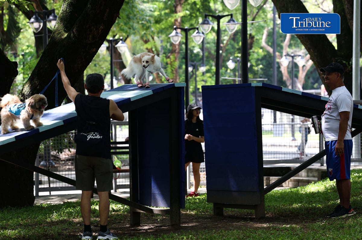(August 04 2026) Fur parents with their pet dogs enjoy the newly opened dog park for parkgoers and their pets at the Quezon Memorial Circle on Saturday August 1 2026. The dog park has play areas and obstacles, such as an open tunnel and agility A-frames, so the furbabies may enjoy, It also has litter bins to keep the park clean, and benches for pet owners to sit on and relax. Photo/Analy Labor