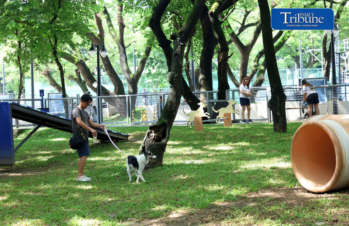 (August 04 2026) Fur parents with their pet dogs enjoy the newly opened dog park for parkgoers and their pets at the Quezon Memorial Circle on Saturday August 1 2026. The dog park has play areas and obstacles, such as an open tunnel and agility A-frames, so the furbabies may enjoy, It also has litter bins to keep the park clean, and benches for pet owners to sit on and relax. Photo/Analy Labor