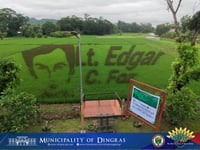 Rice paddy art honors Ilocos Norte war hero