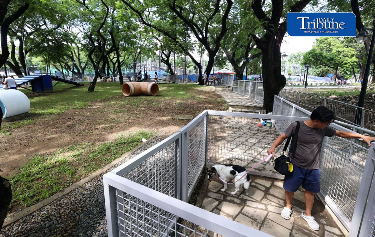 (August 04 2026) Fur parents with their pet dogs enjoy the newly opened dog park for parkgoers and their pets at the Quezon Memorial Circle on Saturday August 1 2026.  The dog park has play areas and obstacles, such as an open tunnel and agility A-frames, so the furbabies may enjoy,  It also has litter bins to keep the park clean, and benches for pet owners to sit on and relax. Photo/Analy Labor