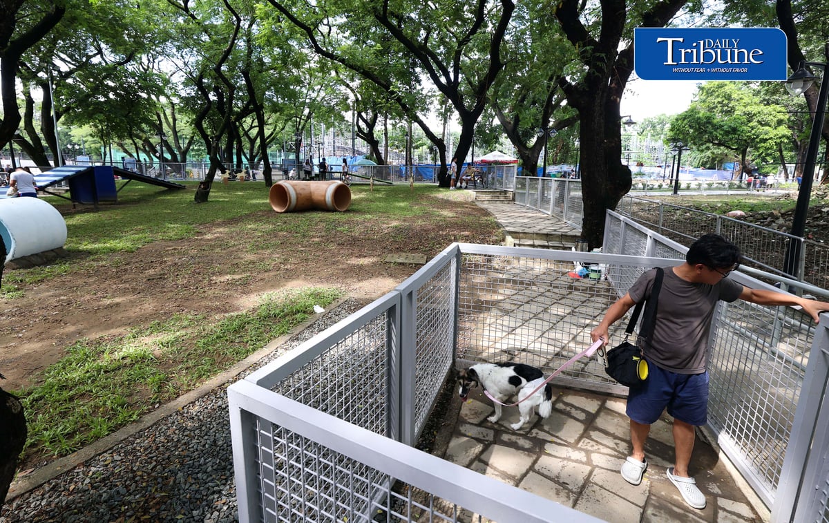 (August 04 2026) Fur parents with their pet dogs enjoy the newly opened dog park for parkgoers and their pets at the Quezon Memorial Circle on Saturday August 1 2026. The dog park has play areas and obstacles, such as an open tunnel and agility A-frames, so the furbabies may enjoy, It also has litter bins to keep the park clean, and benches for pet owners to sit on and relax. Photo/Analy Labor