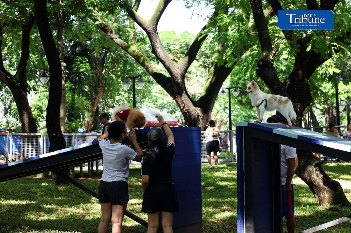 (August 04 2026) Fur parents with their pet dogs enjoy the newly opened dog park for parkgoers and their pets at the Quezon Memorial Circle on Saturday August 1 2026. The dog park has play areas and obstacles, such as an open tunnel and agility A-frames, so the furbabies may enjoy, It also has litter bins to keep the park clean, and benches for pet owners to sit on and relax. Photo/Analy Labor