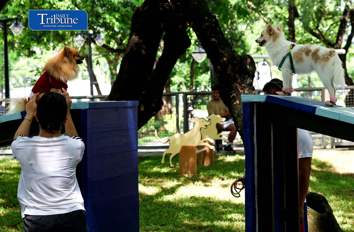 (August 04 2026) Fur parents with their pet dogs enjoy the newly opened dog park for parkgoers and their pets at the Quezon Memorial Circle on Saturday August 1 2026. The dog park has play areas and obstacles, such as an open tunnel and agility A-frames, so the furbabies may enjoy, It also has litter bins to keep the park clean, and benches for pet owners to sit on and relax. Photo/Analy Labor