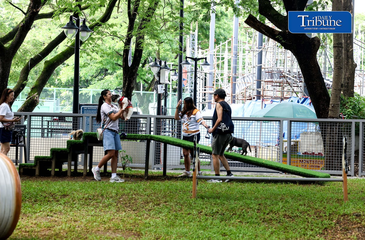(August 04 2026) Fur parents with their pet dogs enjoy the newly opened dog park for parkgoers and their pets at the Quezon Memorial Circle on Saturday August 1 2026. The dog park has play areas and obstacles, such as an open tunnel and agility A-frames, so the furbabies may enjoy, It also has litter bins to keep the park clean, and benches for pet owners to sit on and relax. Photo/Analy Labor