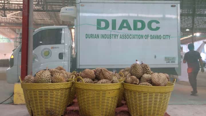 Davao durian reaches Oman after six years