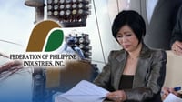 FPI backs power reforms, urges careful EPIRA review