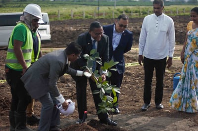COLOMBO MAKES ITS MOVE