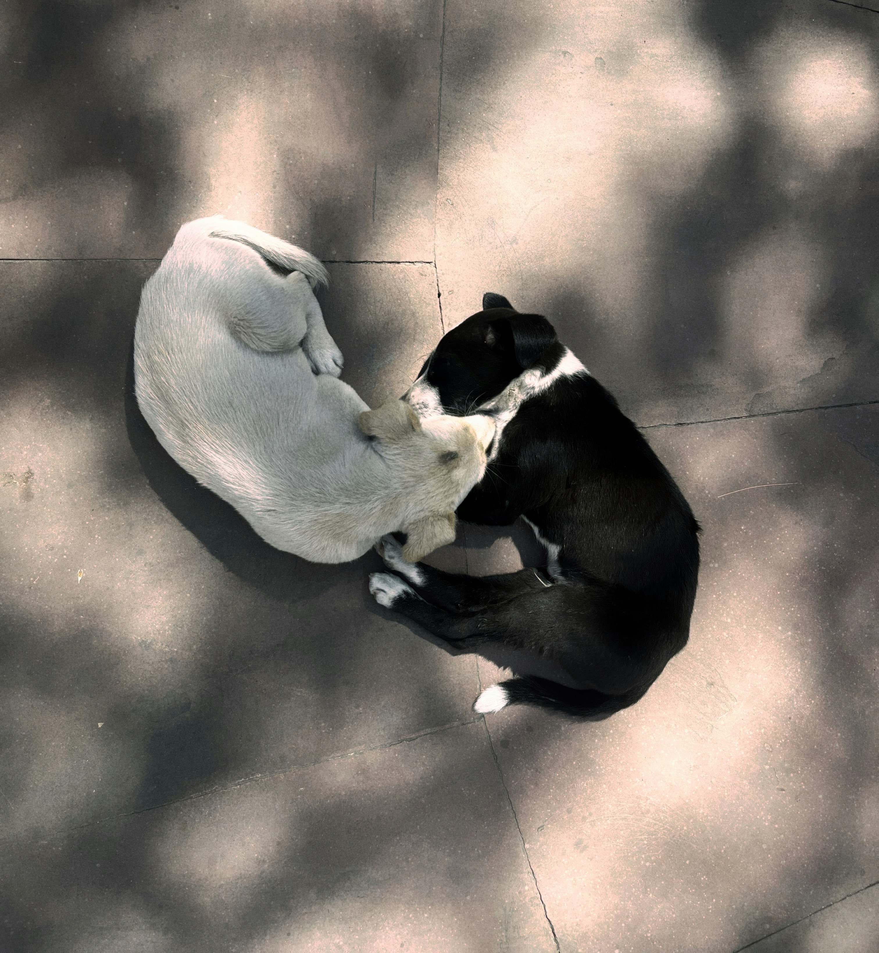 How Yin and Yang can transform your home’s energy