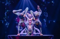 'Cirque Alice,' 'The Play That Goes Wrong' come to Manila