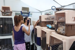 QC Pet Evacuation Center