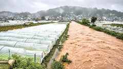 Habagat damage: Fatal landslides, road cuts, chest-deep floods