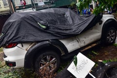 Mango tree crushes SUV, two houses lose roofs amid Habagat