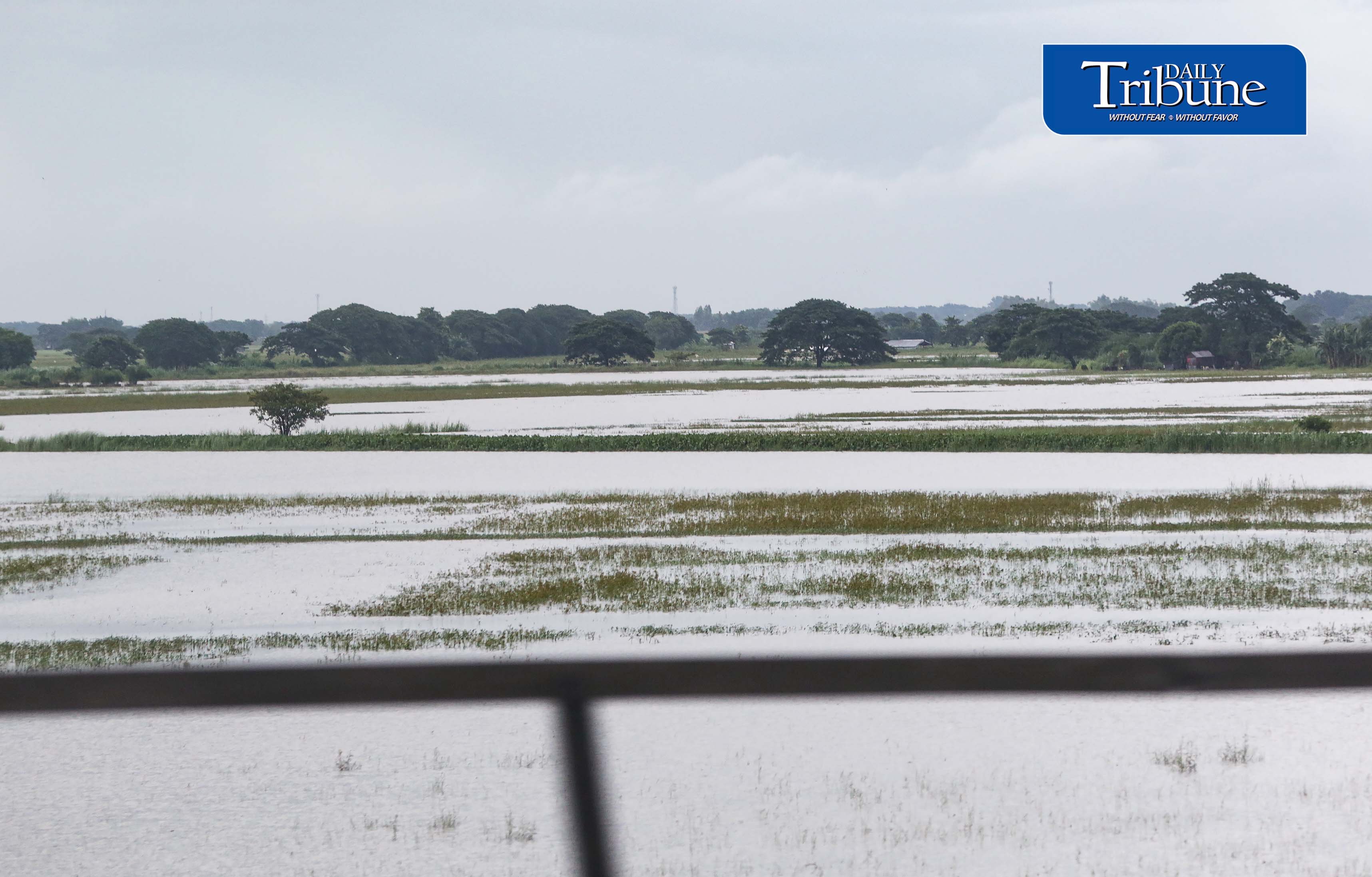 House eyes wider crop insurance amid weather risks