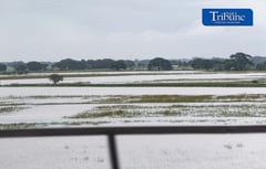 House eyes wider crop insurance amid weather risks