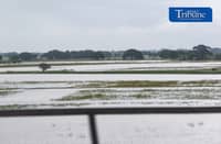 Rice fields in Pampanga were submerged by severe flooding amid the continuous rains brought by the Enhanced Southwest Monsoon (Habagat), last 10 August 2026. The Department of Agriculture (DA) reported over P135.3 million in agricultural losses across multiple regions because of the weather. The government has prepared P106.5 million in initial assistance, including seeds, livestock support, and zero-interest loans, for affected farmers.
