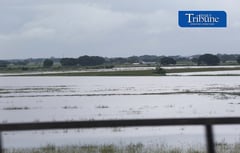 Rice field submerged