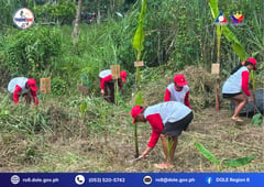 TUPAD supports abaca rehabilitation in Northern Samar