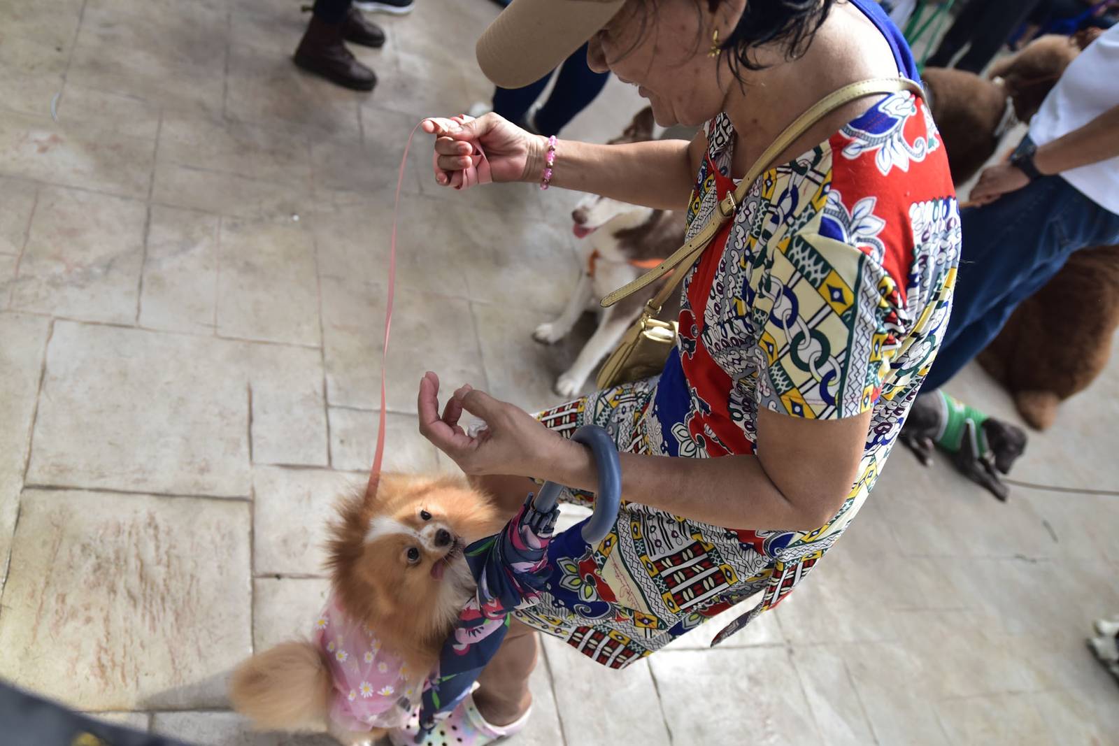 Senior Citizens’ Park and Pet Park in Pandacan, Manila