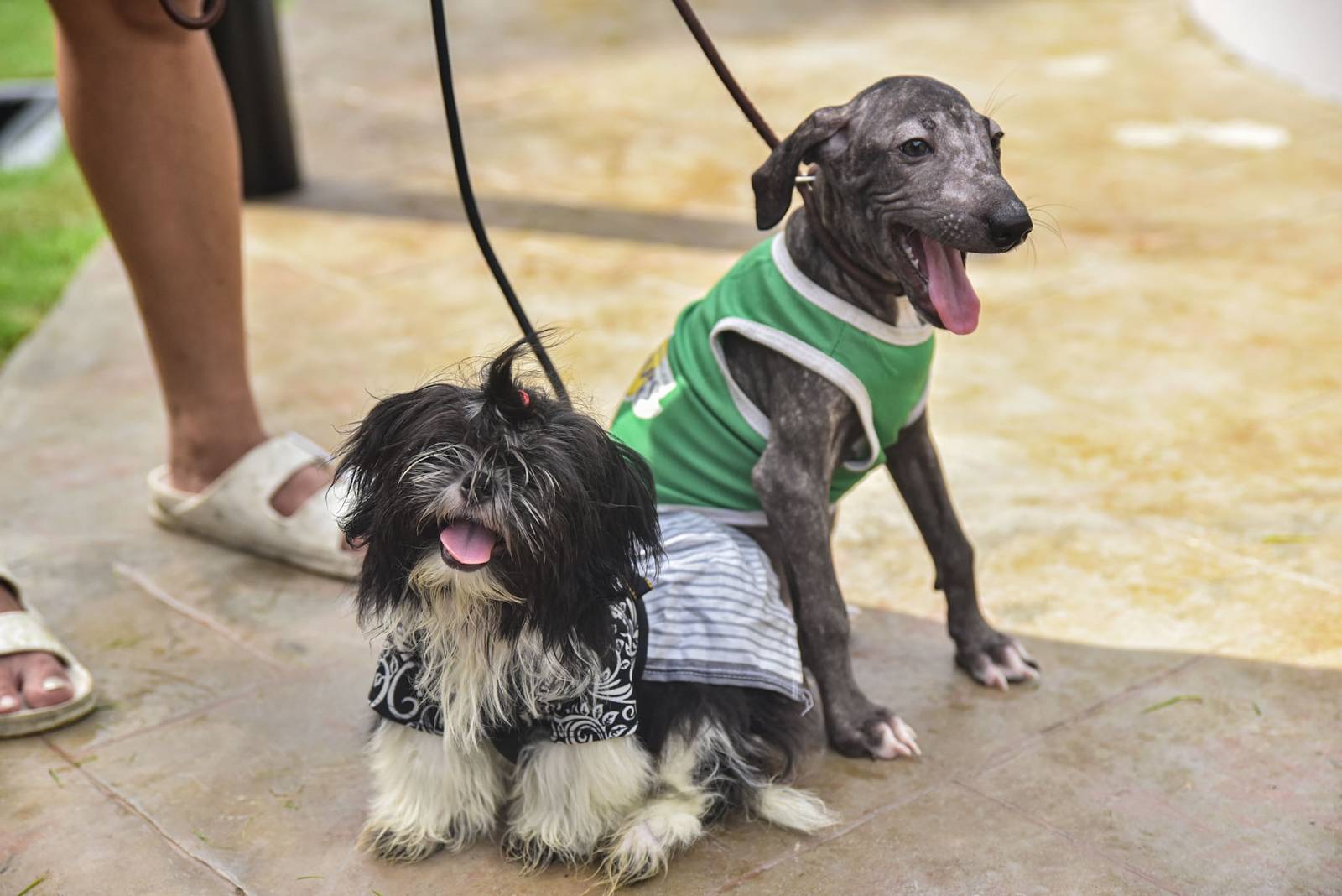 Senior Citizens’ Park and Pet Park in Pandacan, Manila