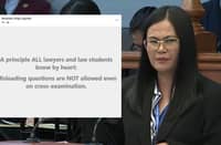 Sison, tumalak sa socmed post ni Ligutan habang nasa Senate Court