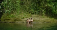 Cinemalaya Review: 'Kaka sa Yawan' leaves something wanting