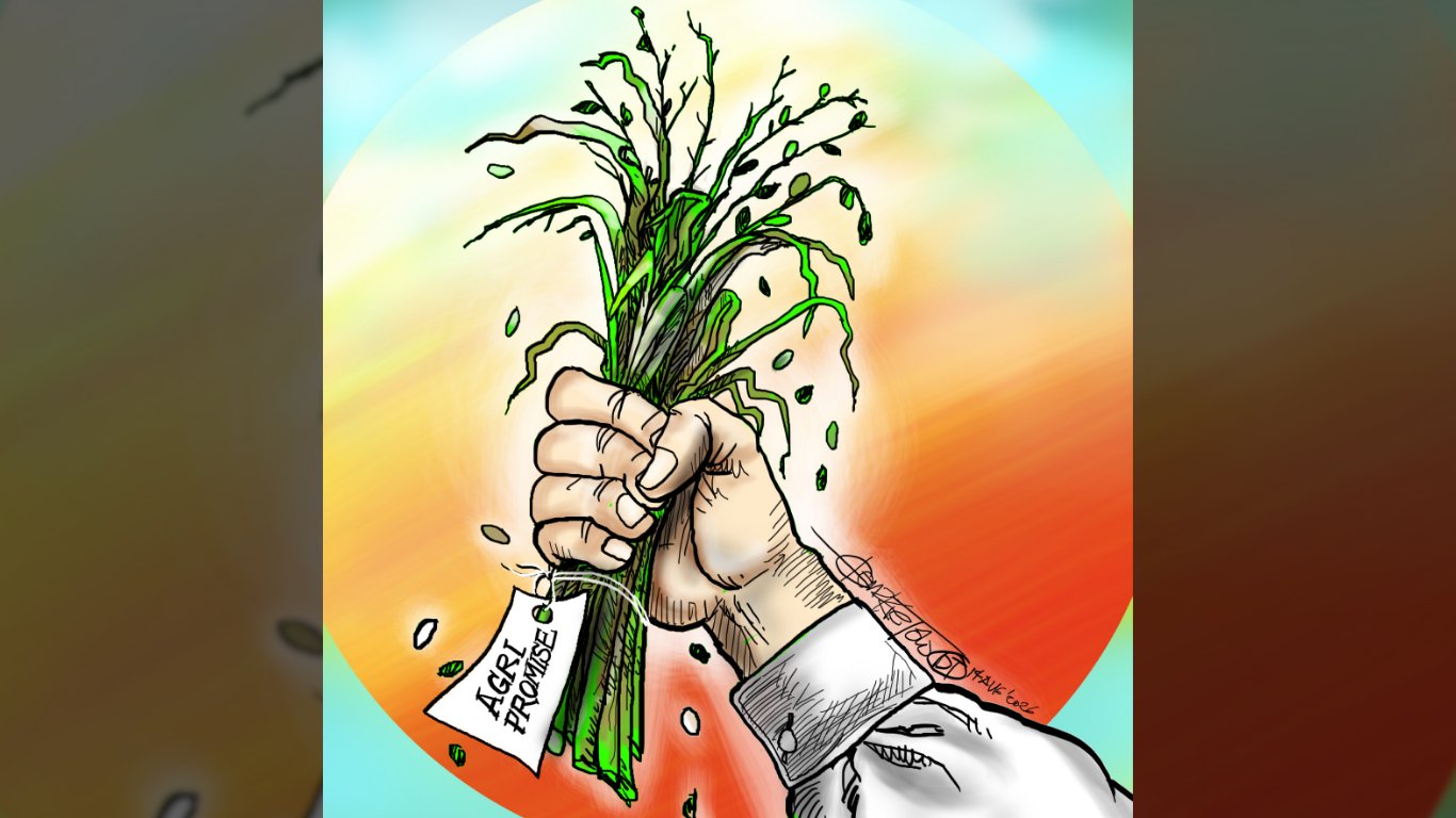 Quo vadis, agriculture?