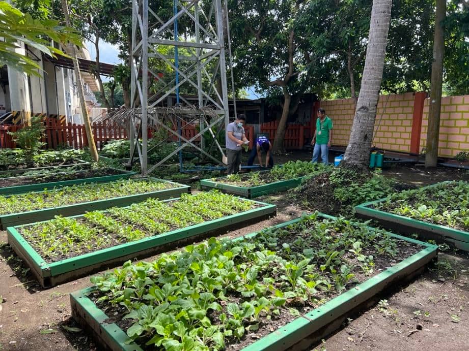 greener communities through its PowerPlants Urban Farm program, transforming open spaces into productive gardens that provide fresh harvests for employees and nearby communities.