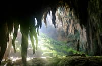 Stalactites dominate the exit of Langun-Gobingob cave.