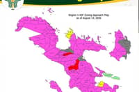 Bicol records ASF cases