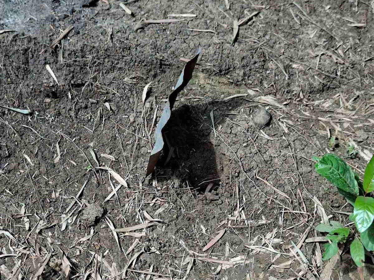 Fetus found preserved in jar buried in New Lucena, Iloilo