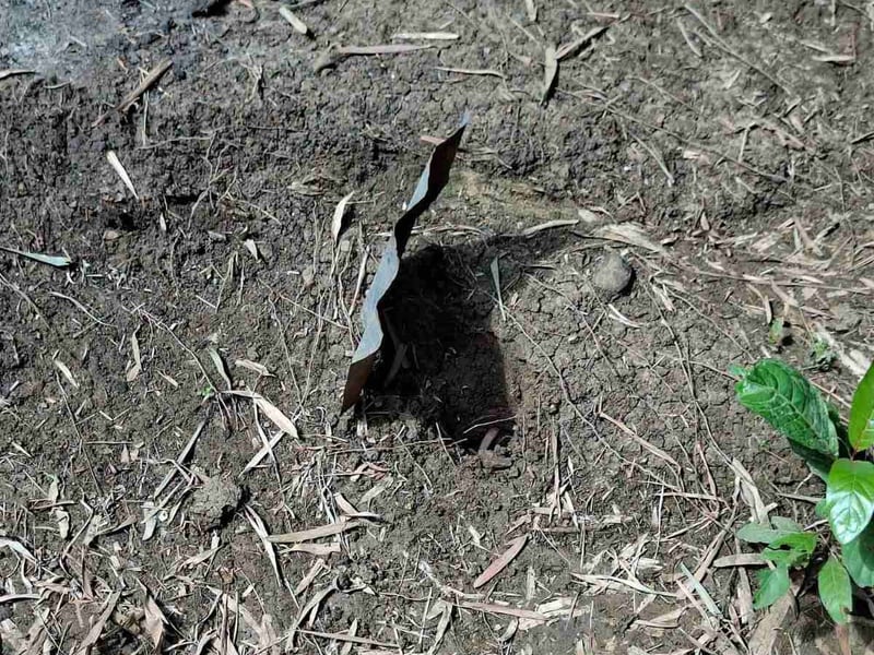 Fetus found preserved in jar buried in New Lucena, Iloilo