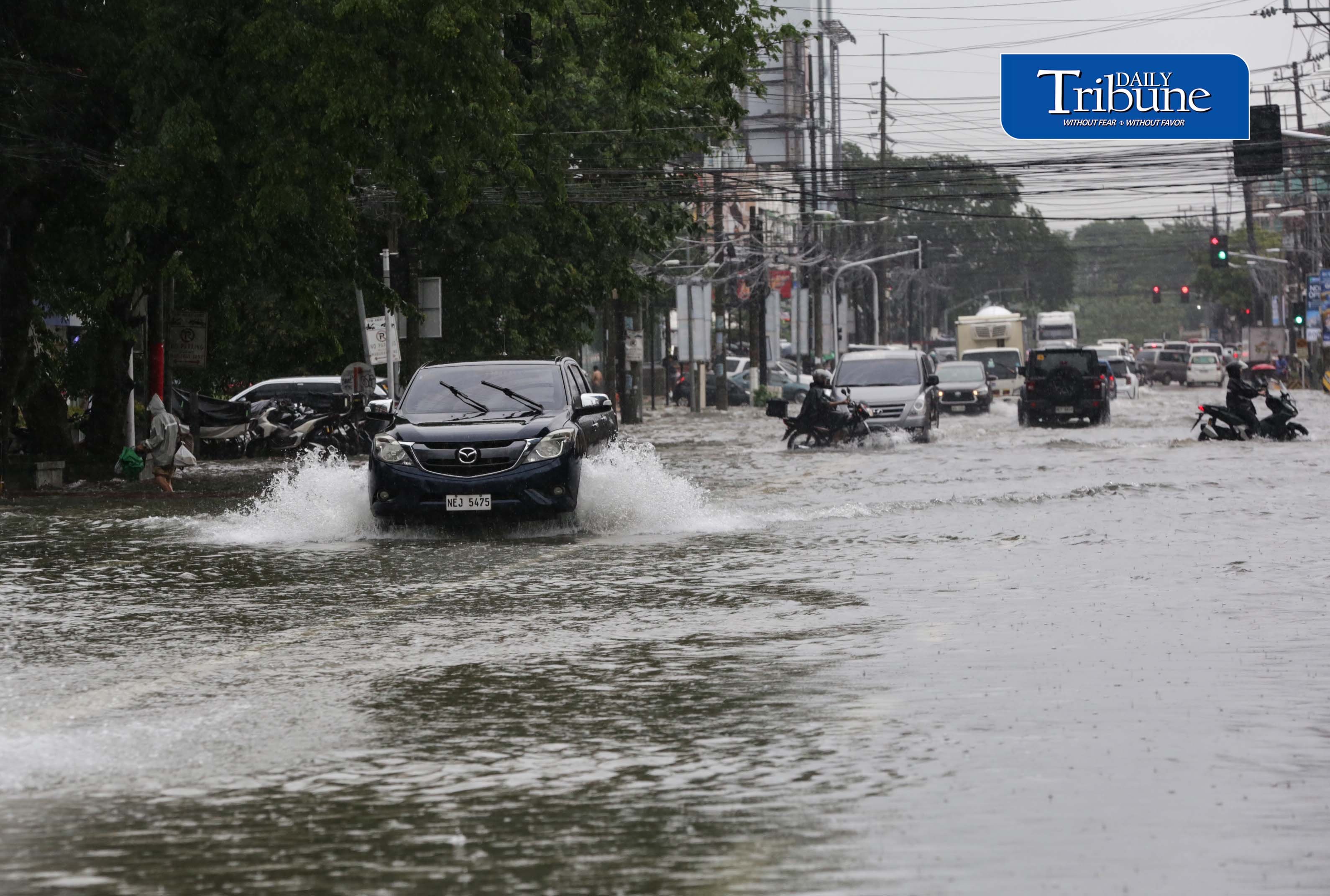 Timog flooding 