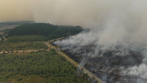 Rain brings respite as Belgium wrestles massive wildfire