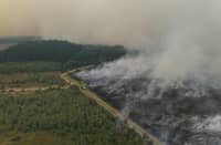Rain brings respite as Belgium wrestles massive wildfire