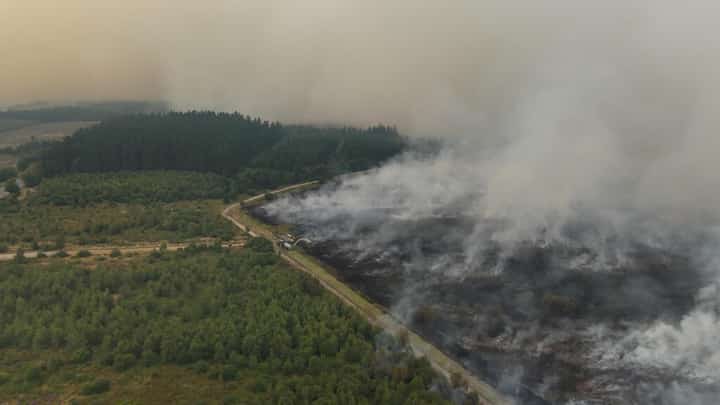 Rain brings respite as Belgium wrestles massive wildfire