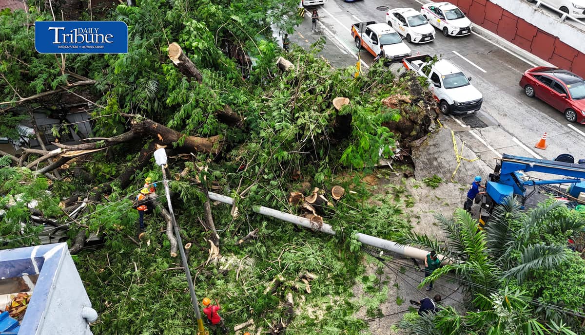 Meralco and MMDA personnel clear a fallen acacia tree branch and an affected electric post along EDSA corner K3rd Street in Quezon City early Tuesday, 18 August 2026. Photo by Analy Labor.