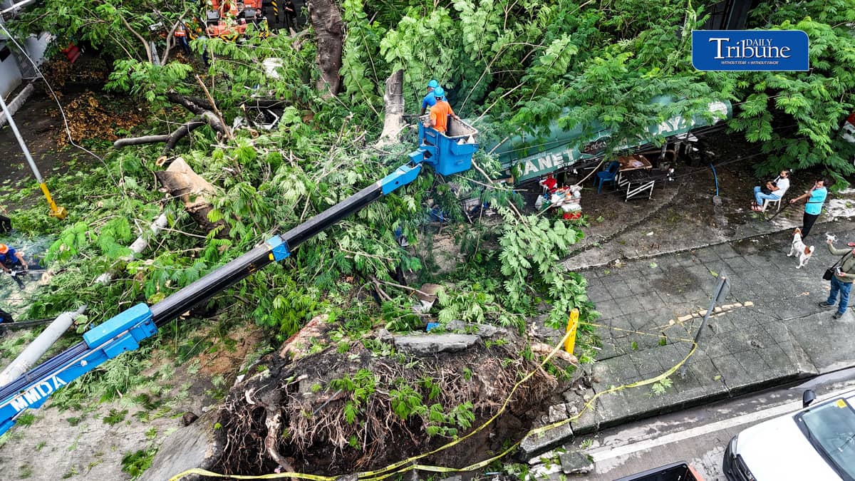 Meralco and MMDA personnel clear a fallen acacia tree branch and an affected electric post along EDSA corner K3rd Street in Quezon City early Tuesday, 18 August 2026. Photo by Analy Labor.