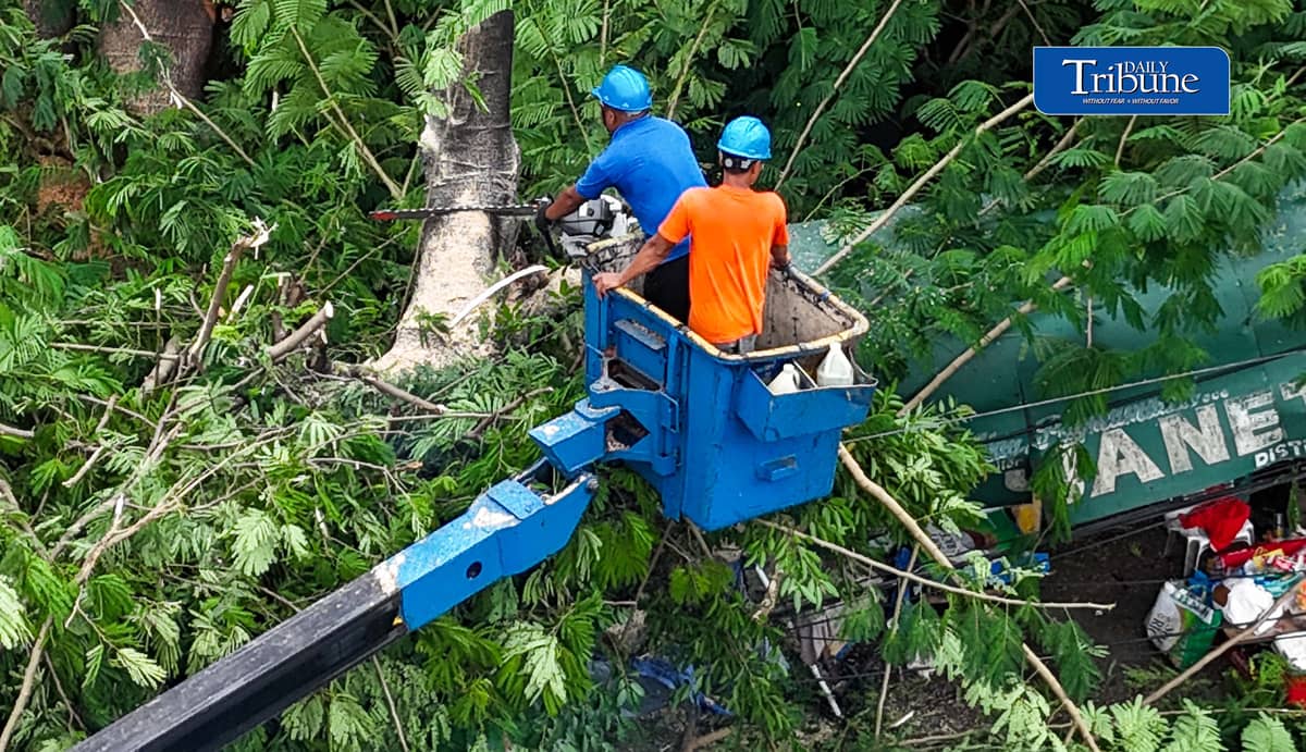 Meralco and MMDA personnel clear a fallen acacia tree branch and an affected electric post along EDSA corner K3rd Street in Quezon City early Tuesday, 18 August 2026. Photo by Analy Labor.