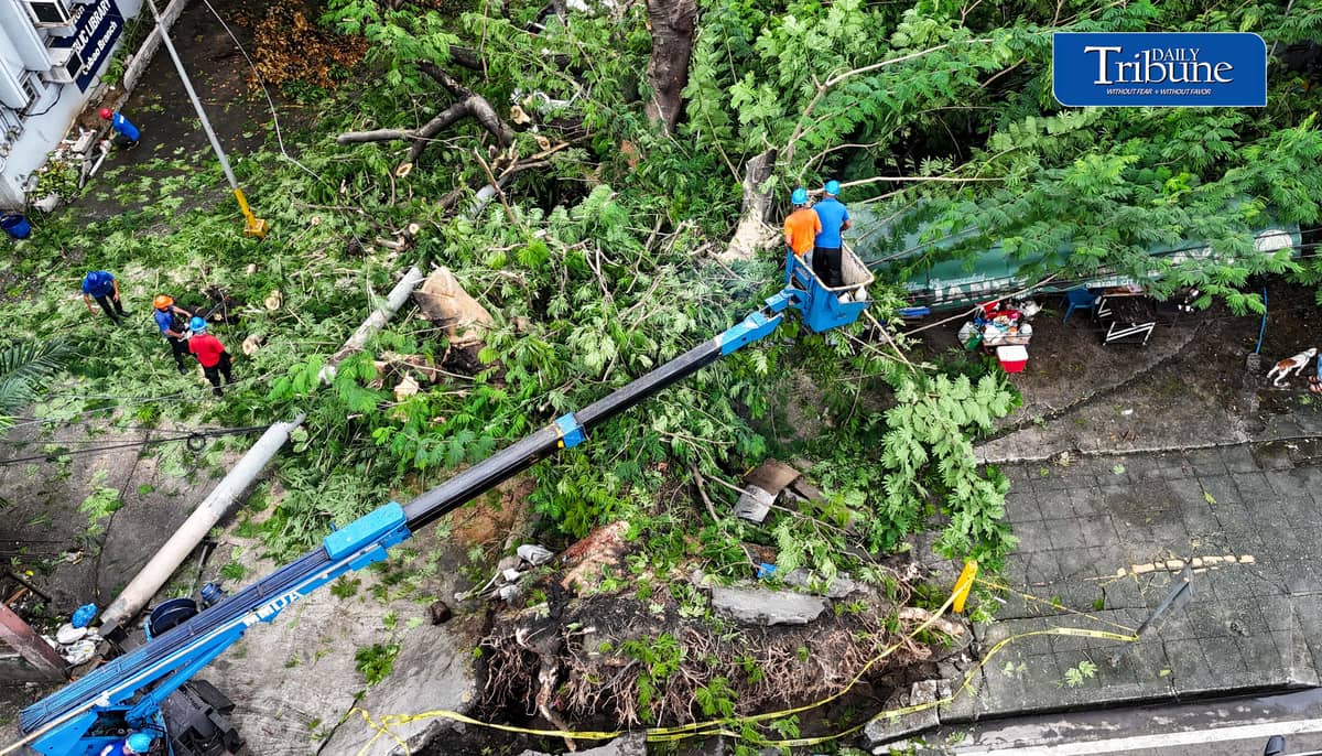 Meralco and MMDA personnel clear a fallen acacia tree branch and an affected electric post along EDSA corner K3rd Street in Quezon City early Tuesday, 18 August 2026. Photo by Analy Labor.