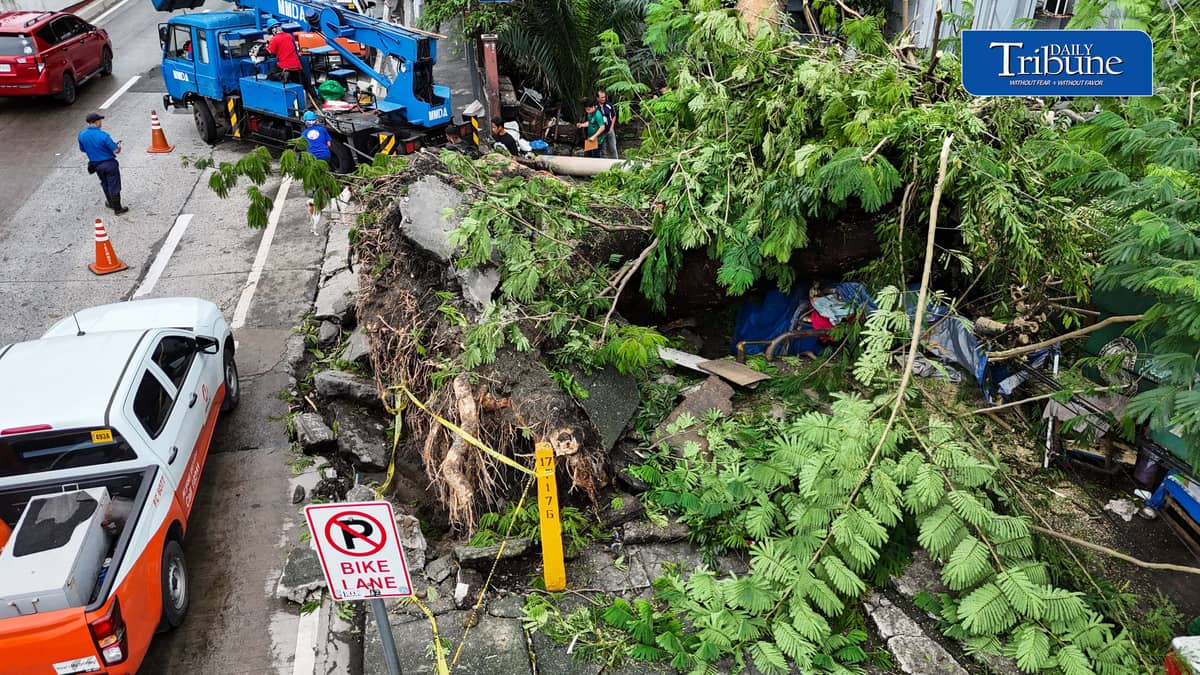 Meralco and MMDA personnel clear a fallen acacia tree branch and an affected electric post along EDSA corner K3rd Street in Quezon City early Tuesday, 18 August 2026. Photo by Analy Labor.