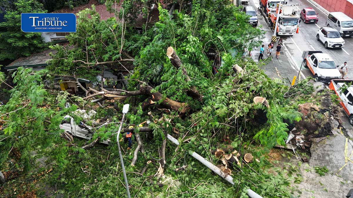 Meralco and MMDA personnel clear a fallen acacia tree branch and an affected electric post along EDSA corner K3rd Street in Quezon City early Tuesday, 18 August 2026. Photo by Analy Labor.