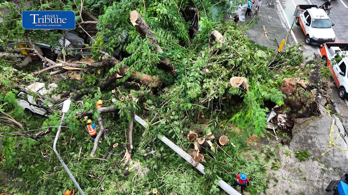 Meralco and MMDA personnel clear a fallen acacia tree branch and an affected electric post along EDSA corner K3rd Street in Quezon City early Tuesday, 18 August 2026. Photo by Analy Labor.