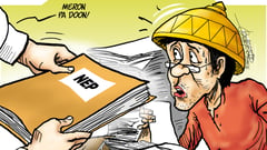 NEP hides pork racket