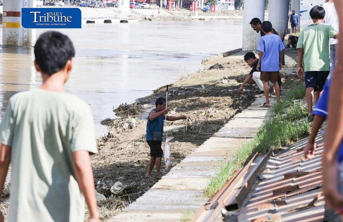 (August 20 2026) Local fishers caught large cream dory fish weighing 5 to 7 kilos at the Marikina River, on Thursday August 20 2026, following heavy rains and  water levels rising, cream dory fish often catch when the water level rise due to heavy rains. Photo/Analy Labor