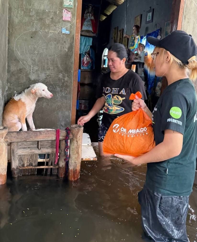 PAWS volunteers also reached out to families with pets in Calumpit, Bulacan to distribute OMF relief packs and other supplies.